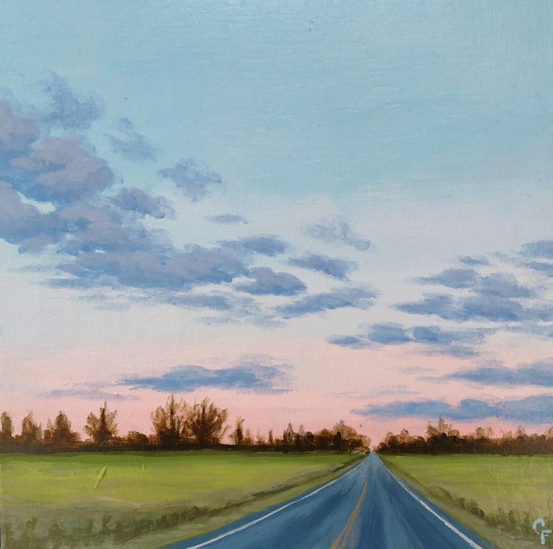 Driving South on Webb #3