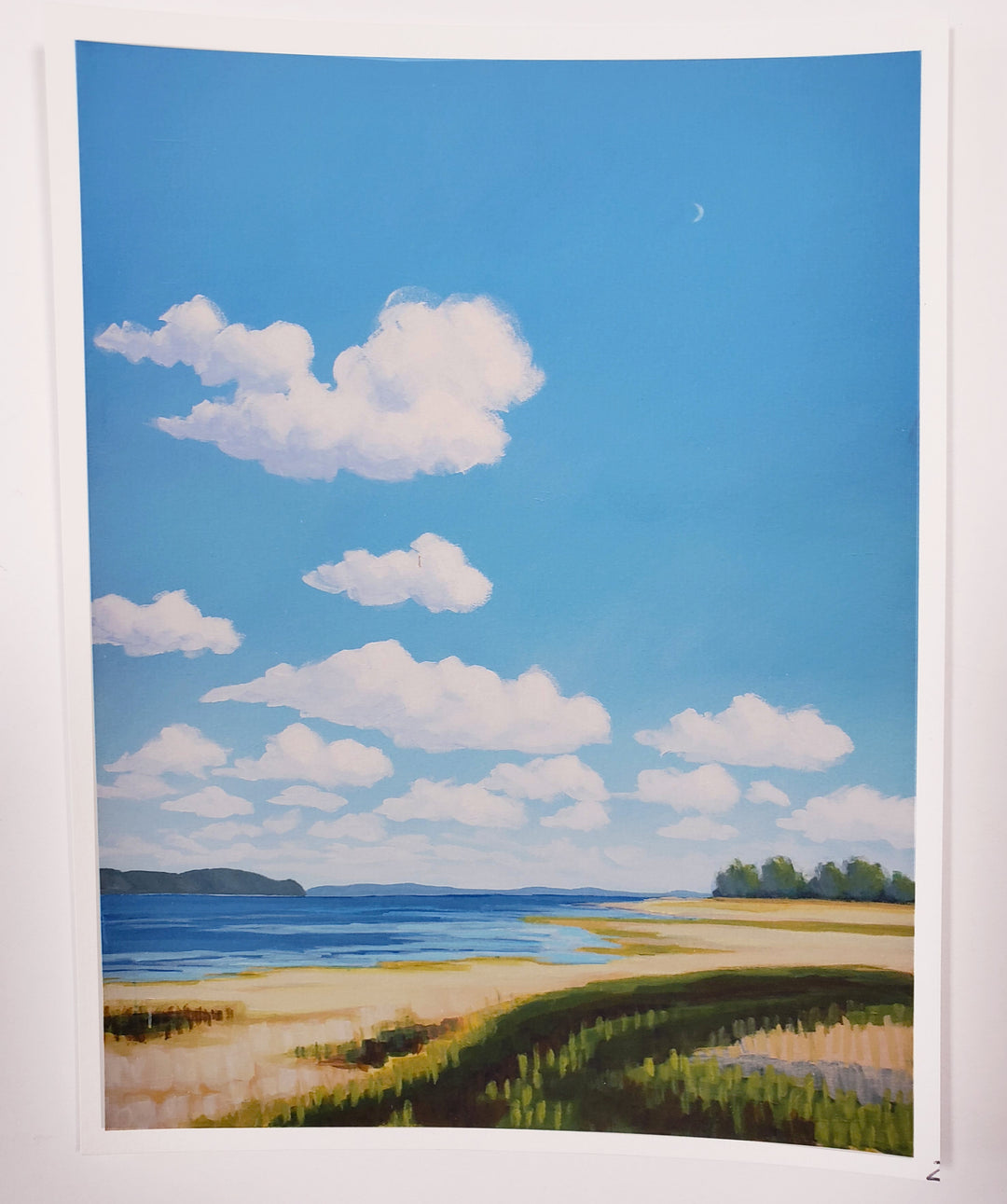 Print 203 - 6"x8"