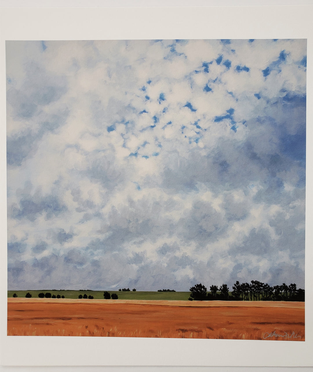 Print 37 - 12"x12"