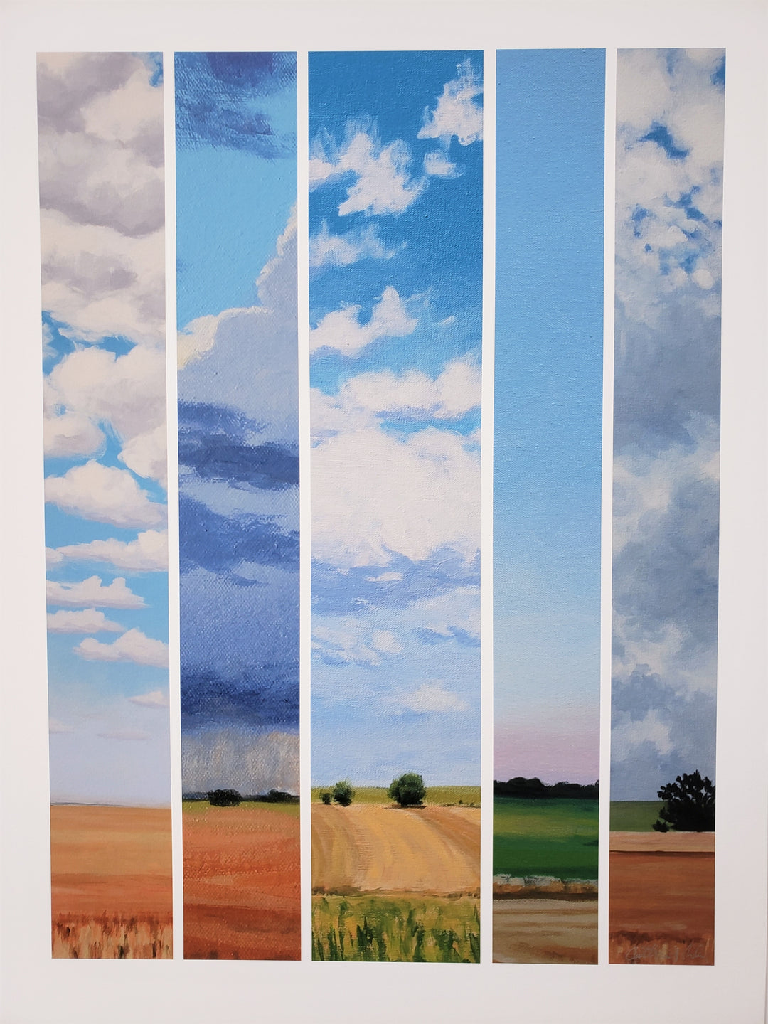 Print 41 - 12"x16"