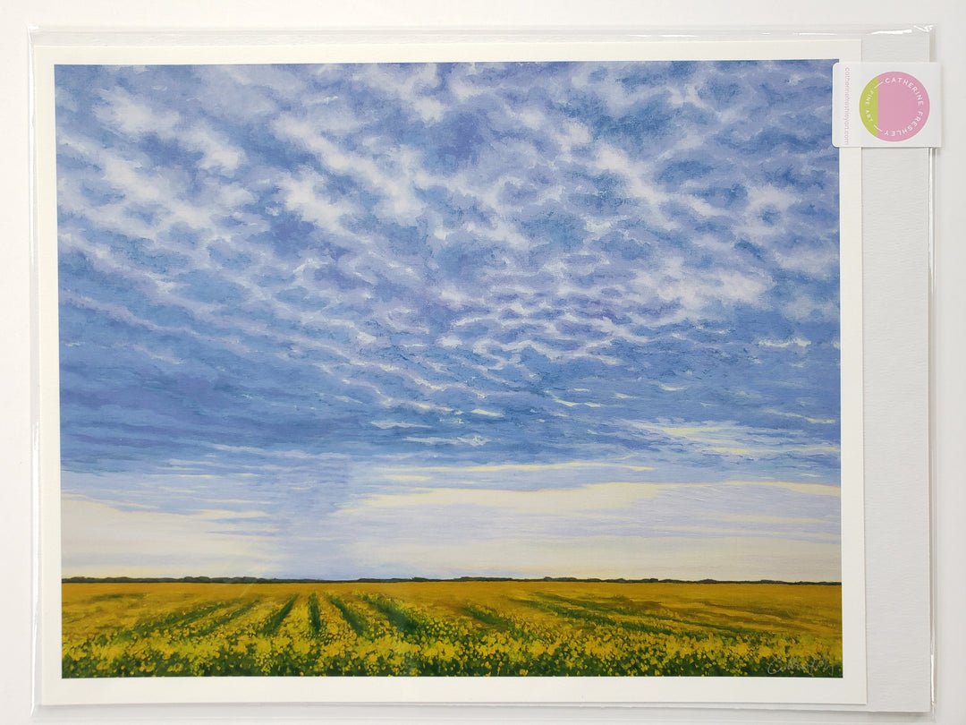 Print 8 - 11"x14"