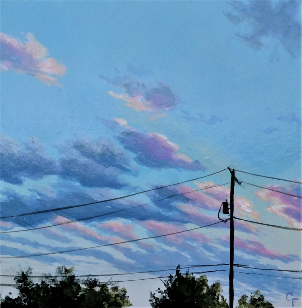 Douglas Sunset #2 - 6"x6"