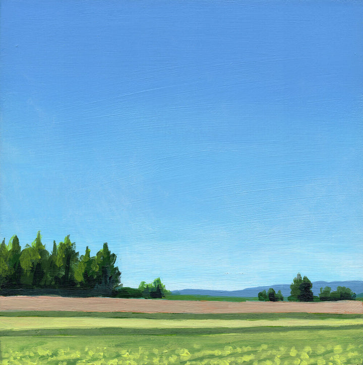 Driving to Sauvie's 1