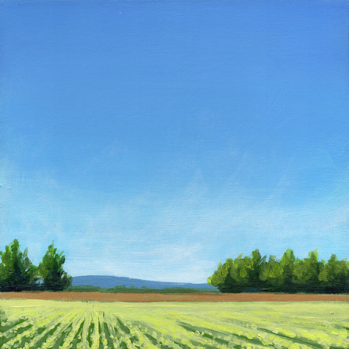 Driving to Sauvie's 3