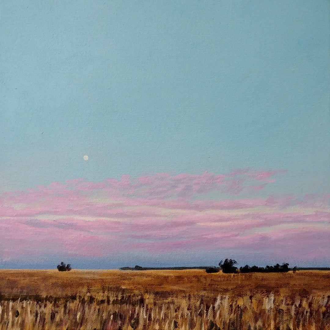 Enid November Moonset