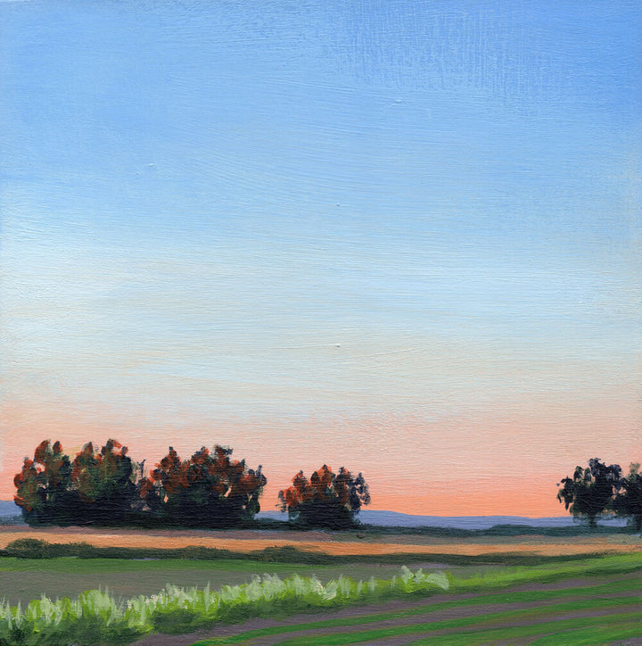 Sauvie's After Work 1