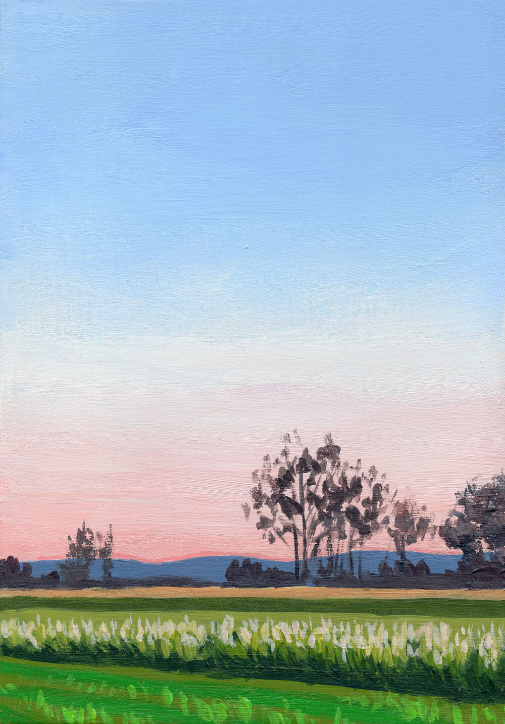 Evening on Sauvie's 3