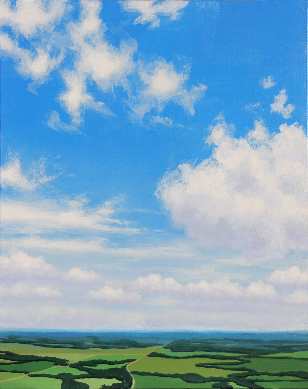 Kansas by Air #2 - 30"x24"