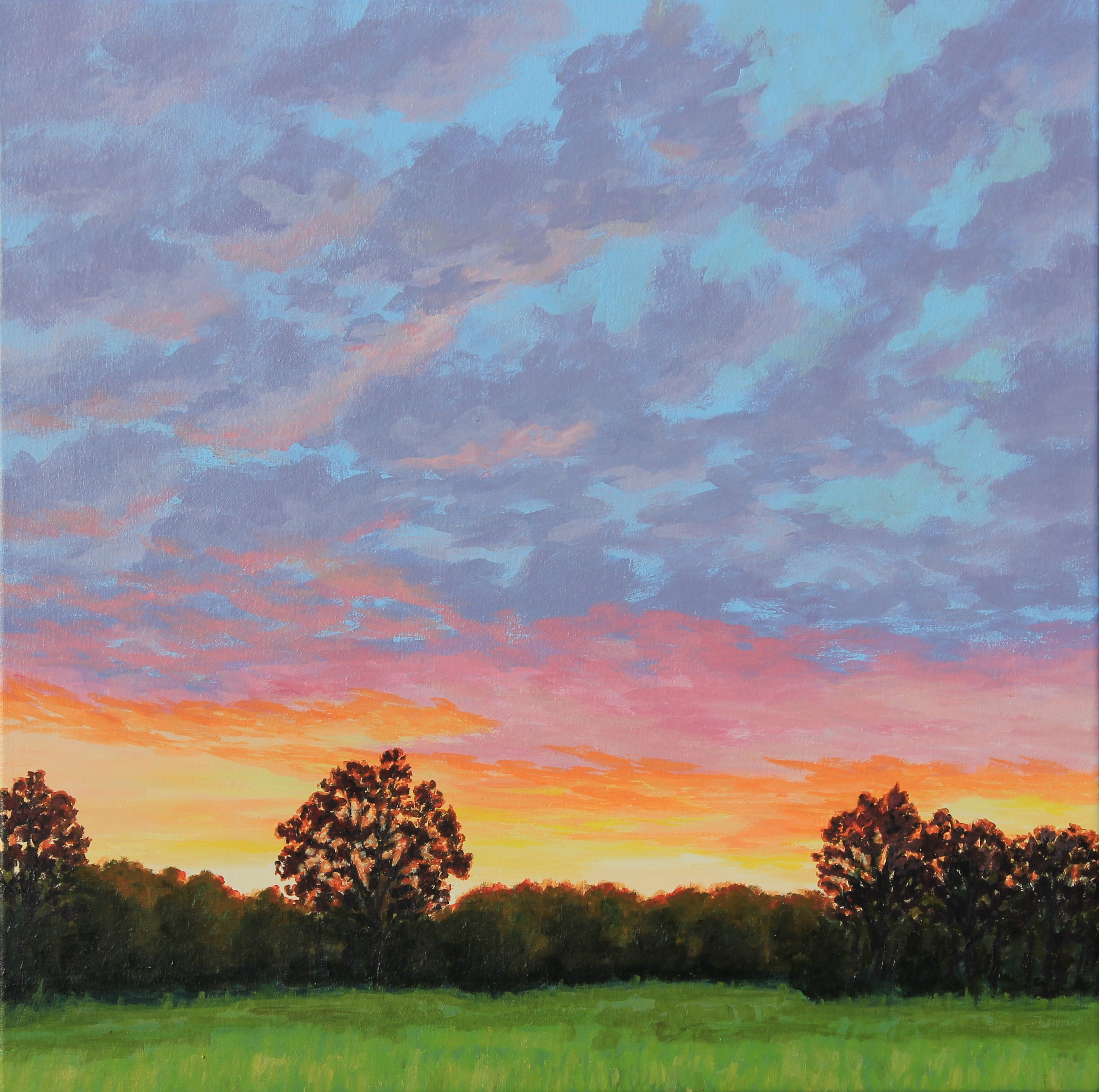Back Yard Sunset #2 – Catherine Freshley Art