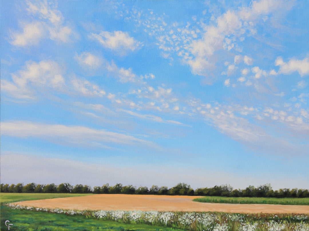 Evening in Andover - 30"x40"