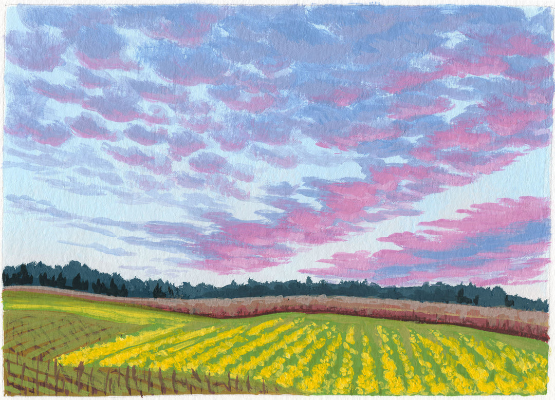 Sunset in Wine Country - 7"x5"