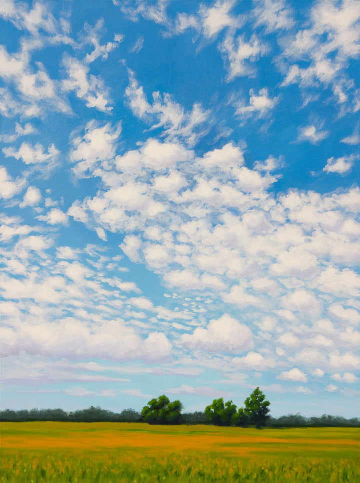 Vertical art print of a summer day with blue sky and puffy clouds. A field of grass and yellow flowers. 